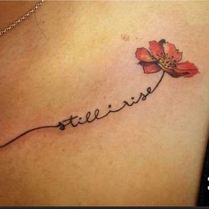 Meet your Posher, Shelby